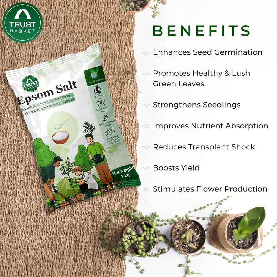TrustBasket Epsom Salt