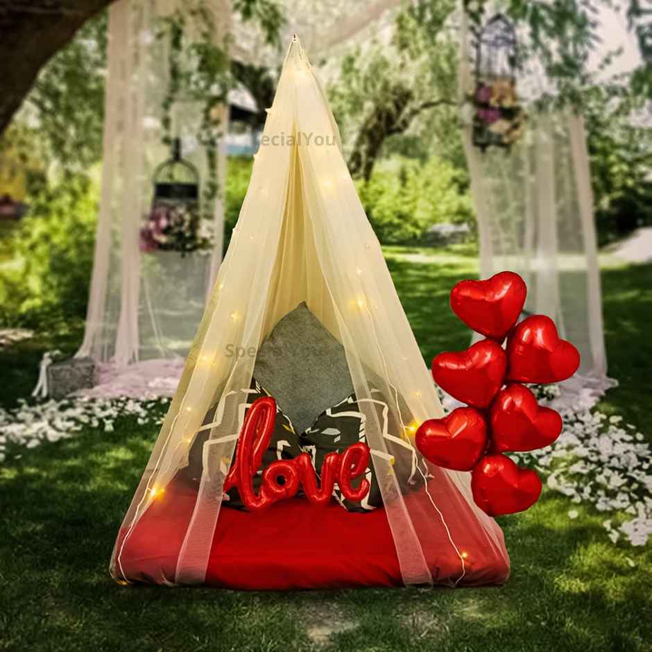 Love Canopy Tent Decoration Kit | Special You