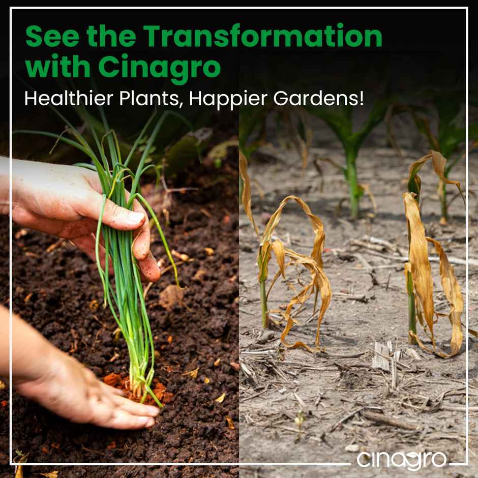 Cinagro Cow Dung Manure Fertilizer For Plants & Home Gardening