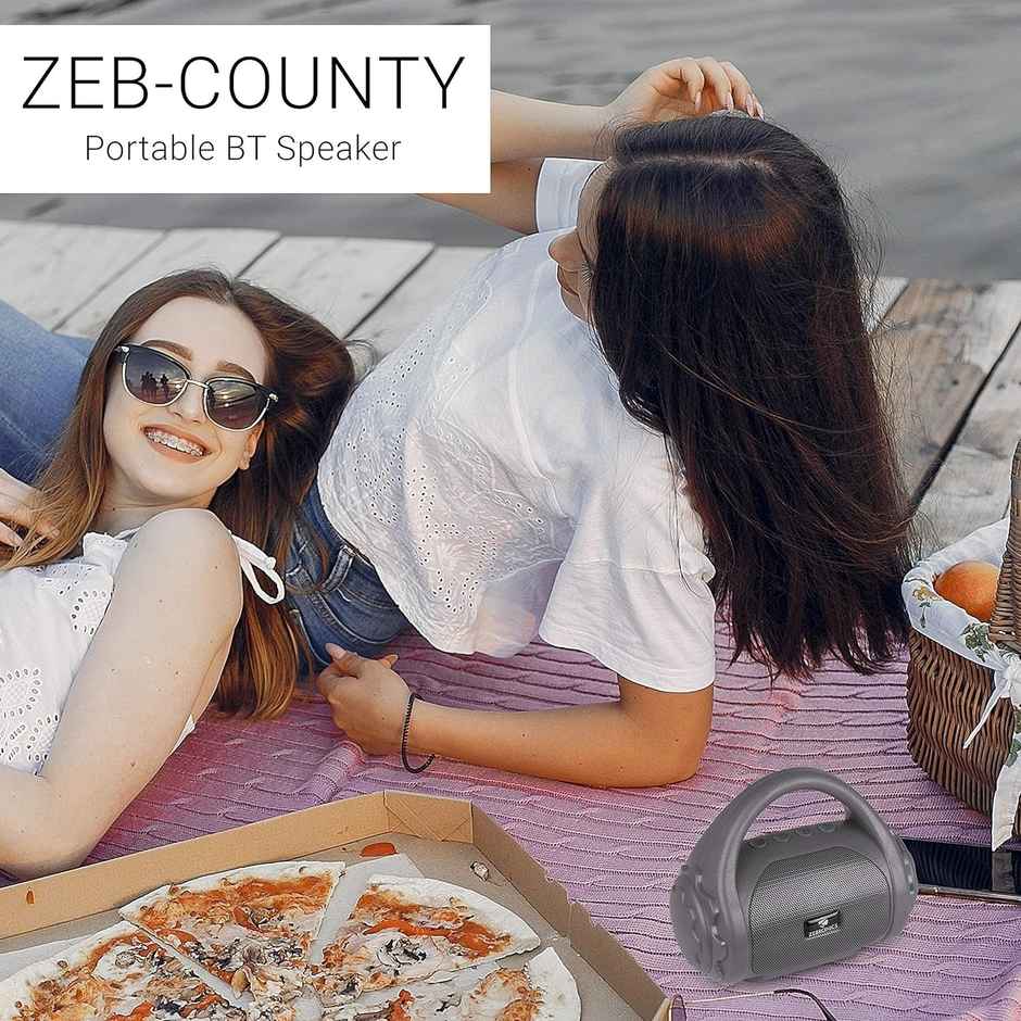 Zebronics County 3W BT Speaker with Carry Handle, USB, SD Card, AUX, FM & Call Function (Gray)