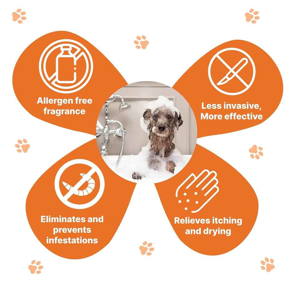 Nootie Skin Protection Sweet Orange Shampoo For Dogs