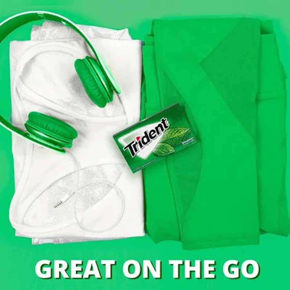 Trident Spearmint Gum (Sugar Free) 1 pack (14 sticks)