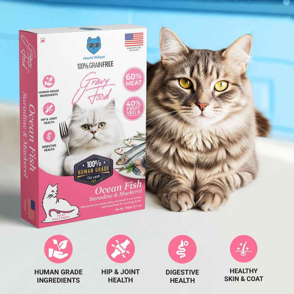 Hachi wilson Premium Ocean fish Sardine and Mackerel Gravy Cat food