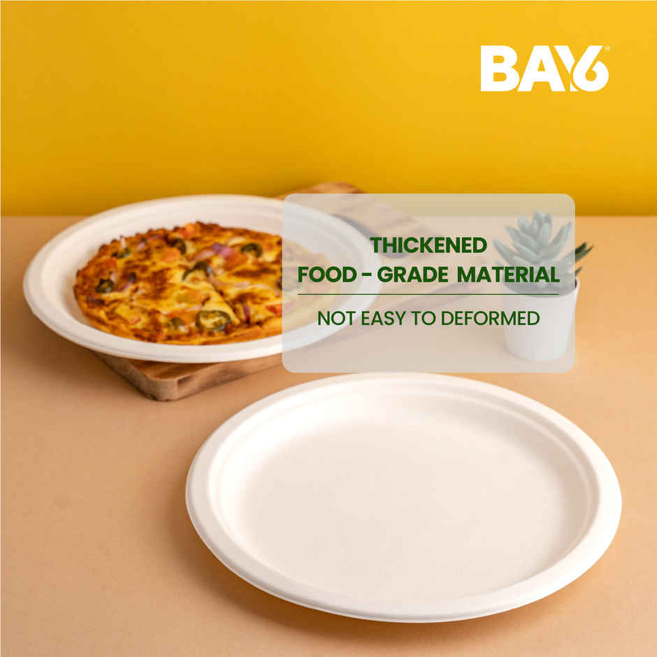 Round Disposable Plate | 10 inch | Pack of 10 | BAY6