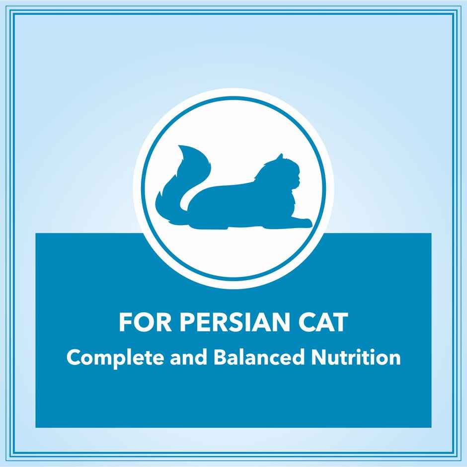 Let's Bite Active Persian Ocean Fish Dry Cat Food (Buy 1 Get 1 Free)