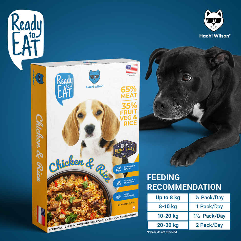 Hachi Wilson Fresh Wholesome Dog Food | Super Healthy food - Chicken & Rice