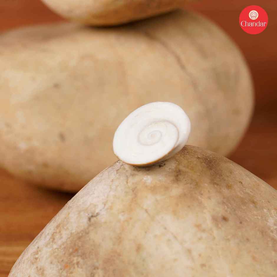 Gomti Chakra | Traditional Pooja Item for Auspicious Use | Chandar