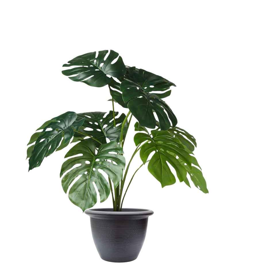Go Hooked 12 Artificial Monstera Plant Leaves with Complimentary Nursery Pot
