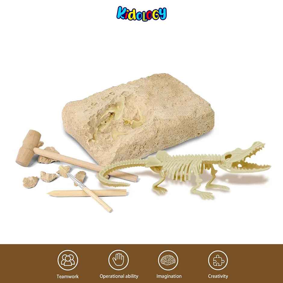 Kidology Dinosaur Fossil Digging Kit for Kids | Dino Fossil Dig Kit Model Toys | Dinosaurs Skeleton