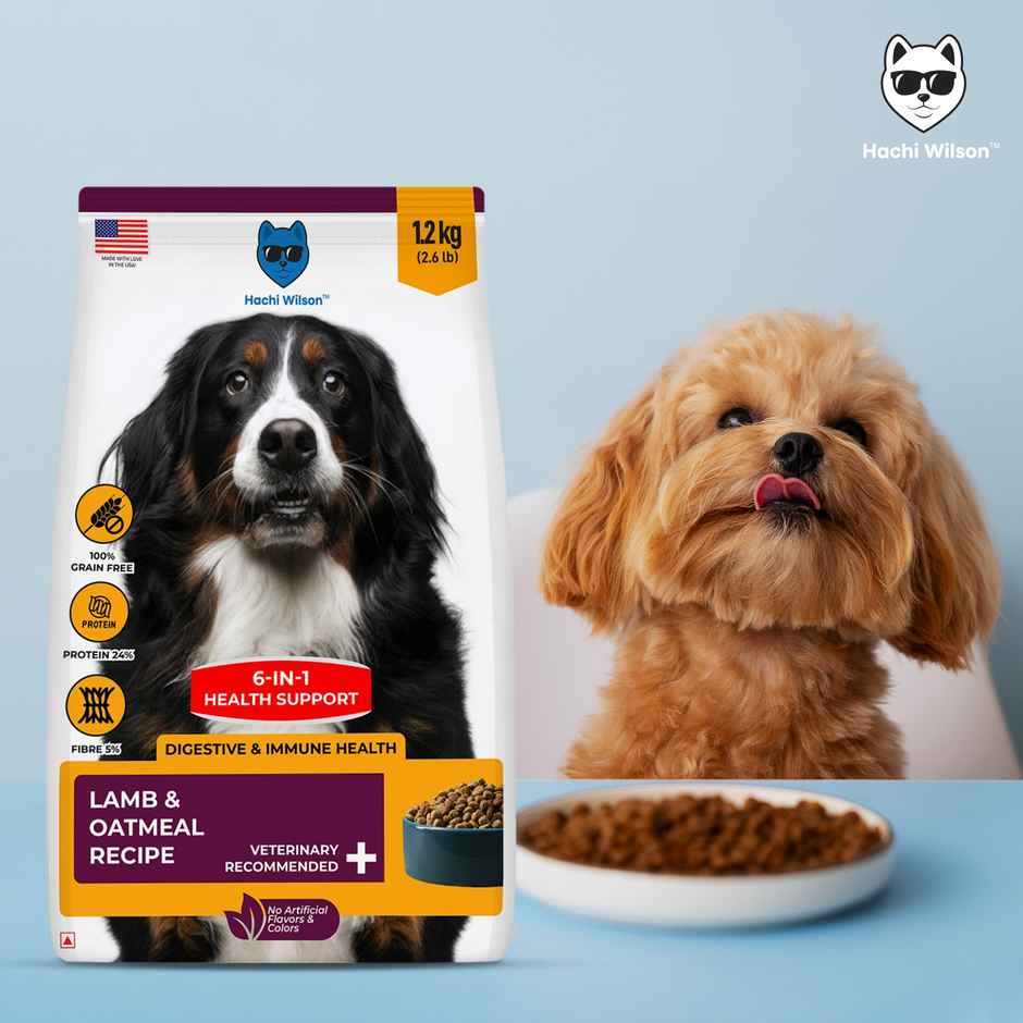 Hachi Wilson Premium USA-Made Dog Food - Lamb & Oatmeal for Stronger, Healthier Dogs