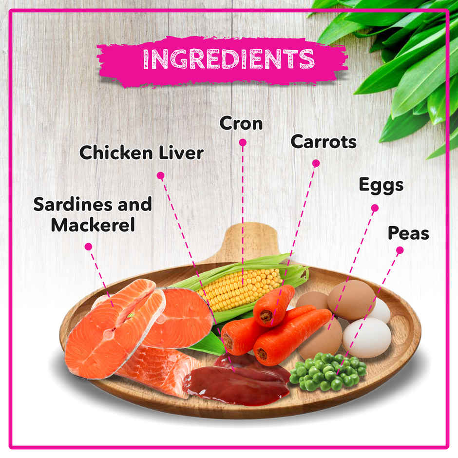 Active Ocean Fish Dry Kitten Cat Food (Buy 1 Get 1 Free)