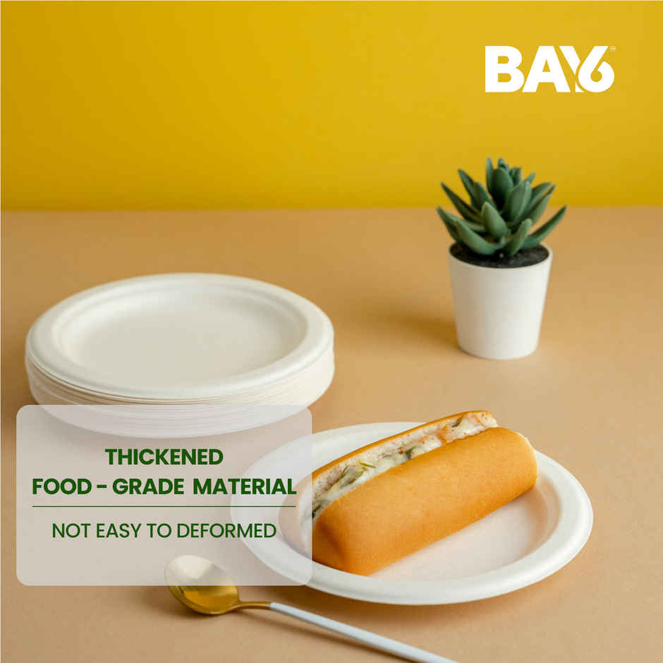 Round Disposable Flat Plate | 15 cm | BAY6