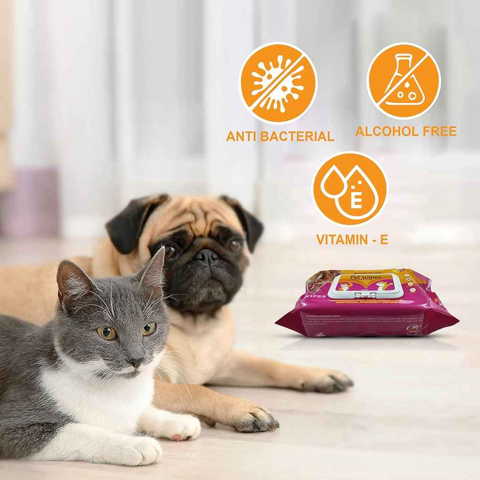 Pets Empire anti bacterial grooming wipes , Wet wipes for dogs , cats | 80 Pulls Per Pack