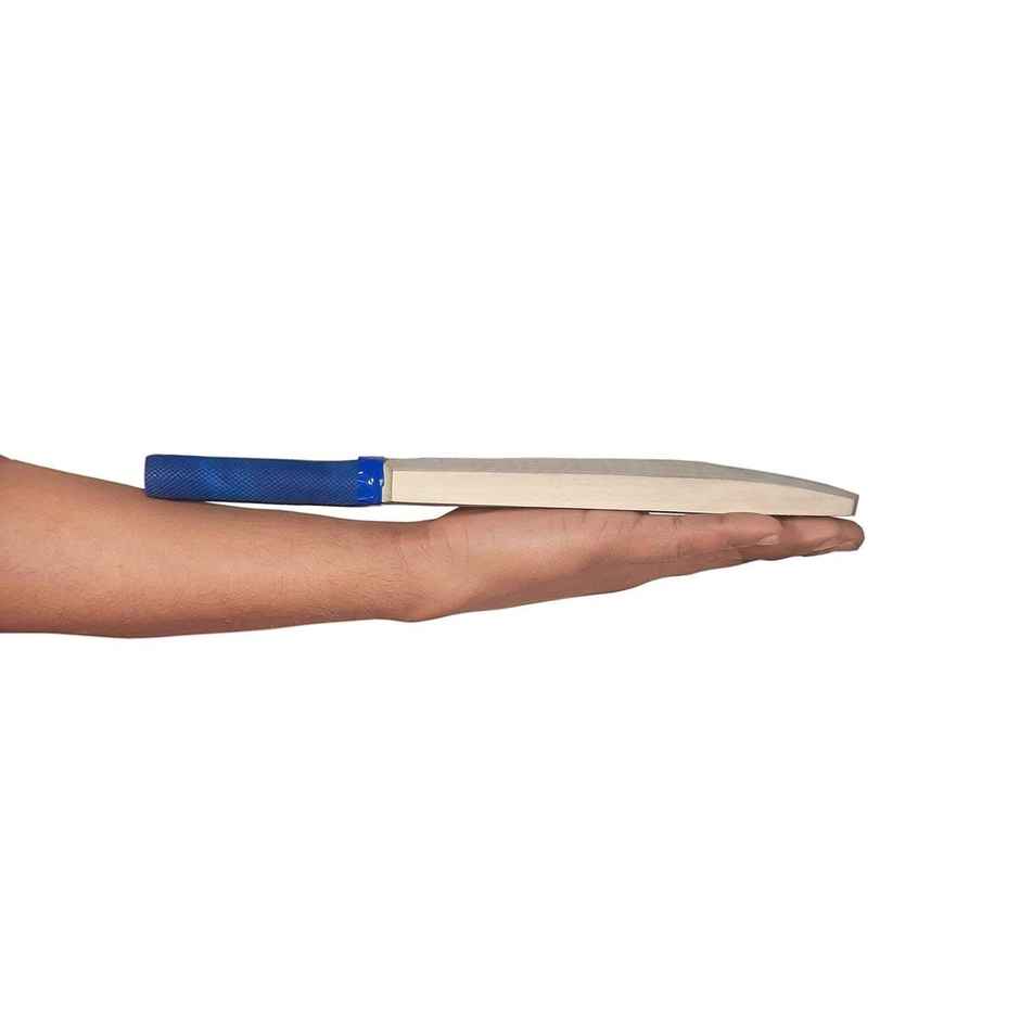 Classic Distributor Signature Cricket Bat | 15 inch | 5+ years