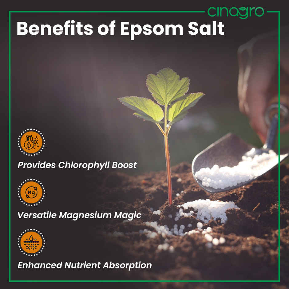 Cinagro Epsom Salt Plant Fertilizer - Magnesium Sulphate, Deters Pests, Speeds Germination