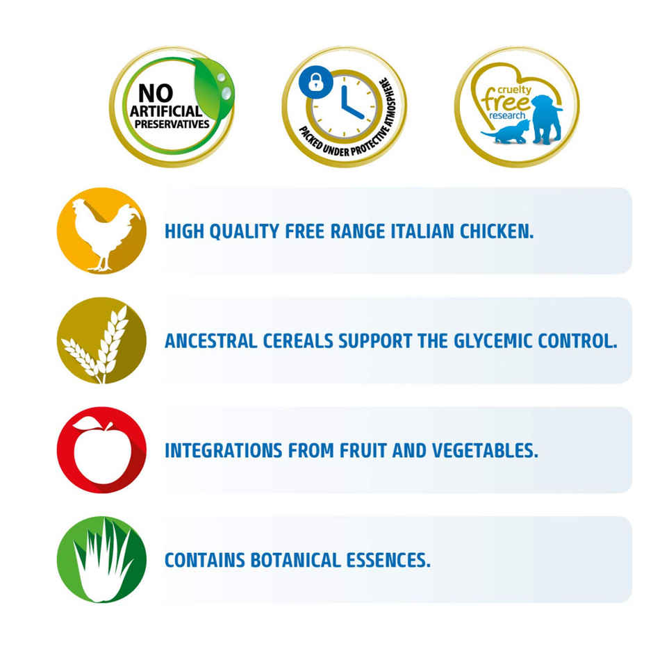 N & D Dog Ancestral Grain Chicken And Pomegranate Adult Medium - Maxi Selection