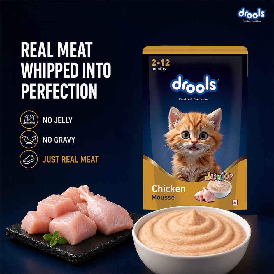Drools Chicken Mousse Kitten Wet Food