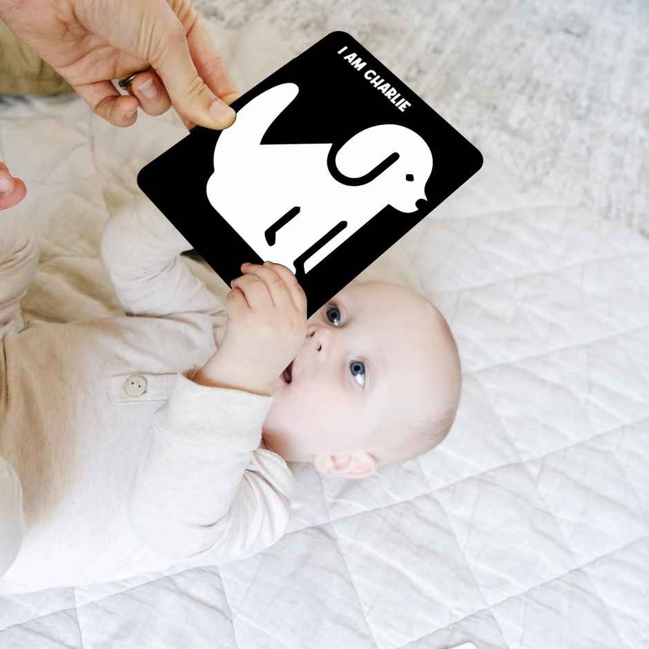 Webby High Contrast Baby Flashcards Brain Development Toys�for New Born, Infants and Babies