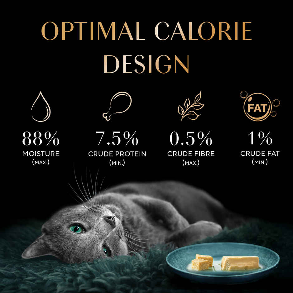 Sheba Pate Adult Wet Cat Food | Sasami