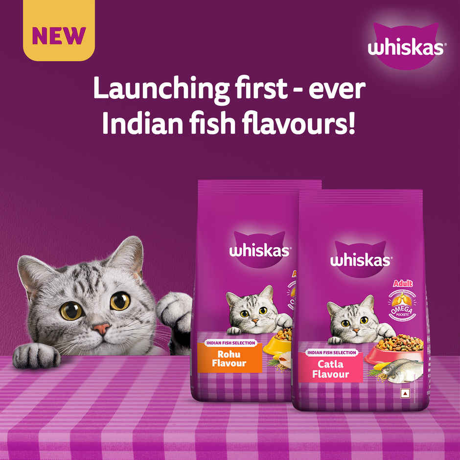 Whiskas Adult Dry Cat Food 1 Plus Years Catla Fish Flavour