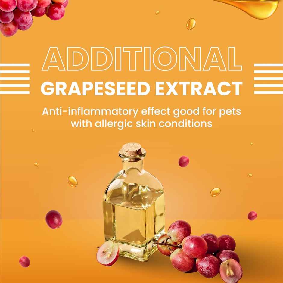 Bark Out Loud Dog Treats - Turmeric Chewstix with Fresh Chicken, Pumpkin & Grape Seed Extract