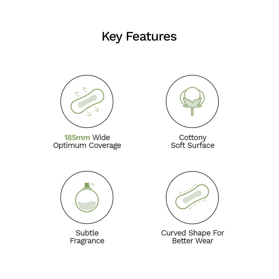 Pee Safe Aloe Vera Panty Liners for Everyday Protection