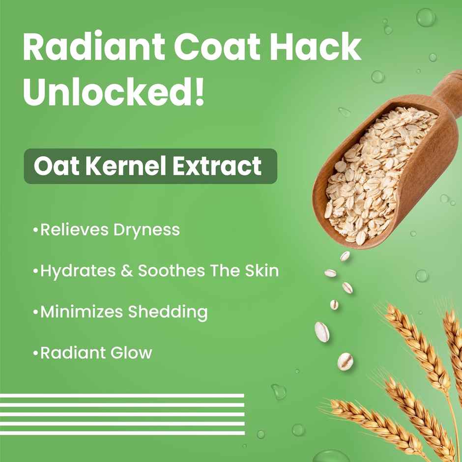 Bark Out Loud Shiny Coat Dog Shampoo for Glow