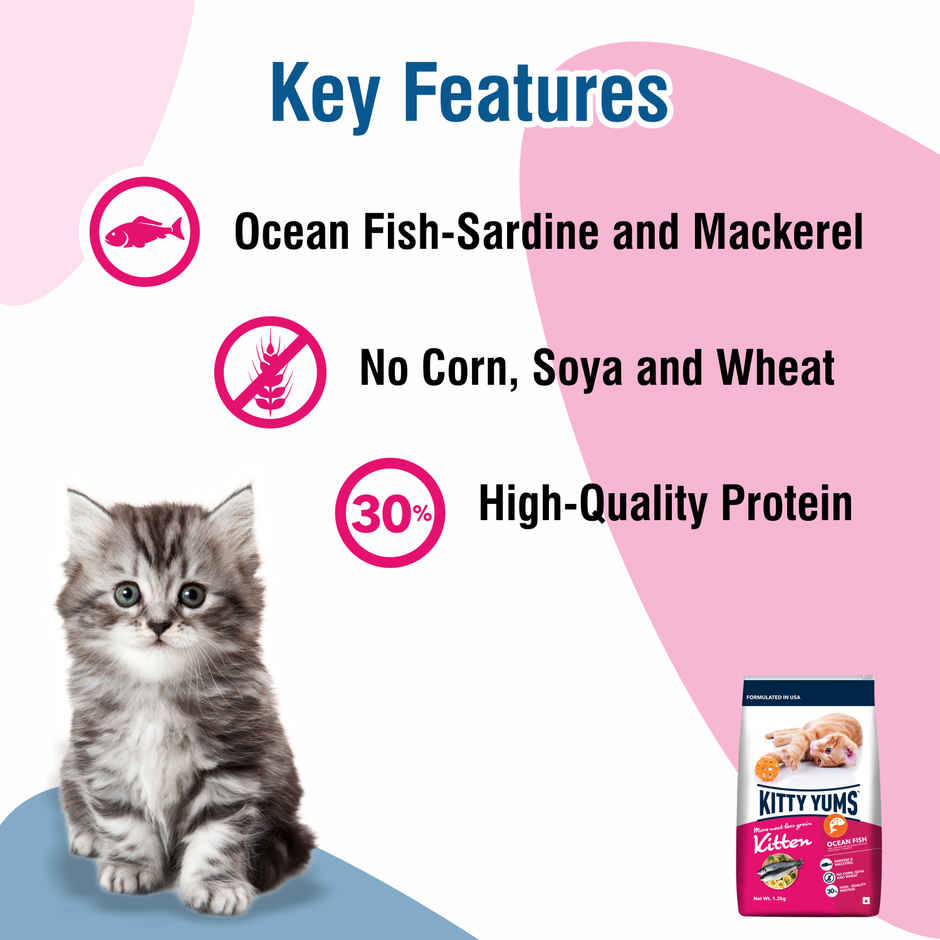 Kitty Yums Kitten Dry Cat Food Ocean Fish with Free Container