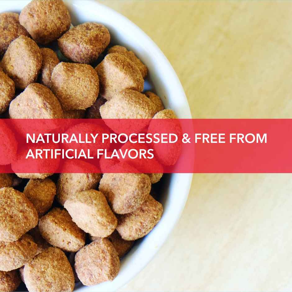 Purepet Meat And Rice Adult Dog FOOD