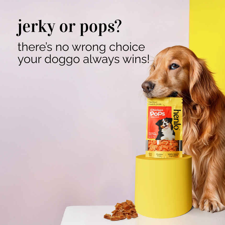 Henlo Chicken Jerky Treat |Dog Treats |Treats |Crunchy | Chewy treat |Crispy treats | Protein