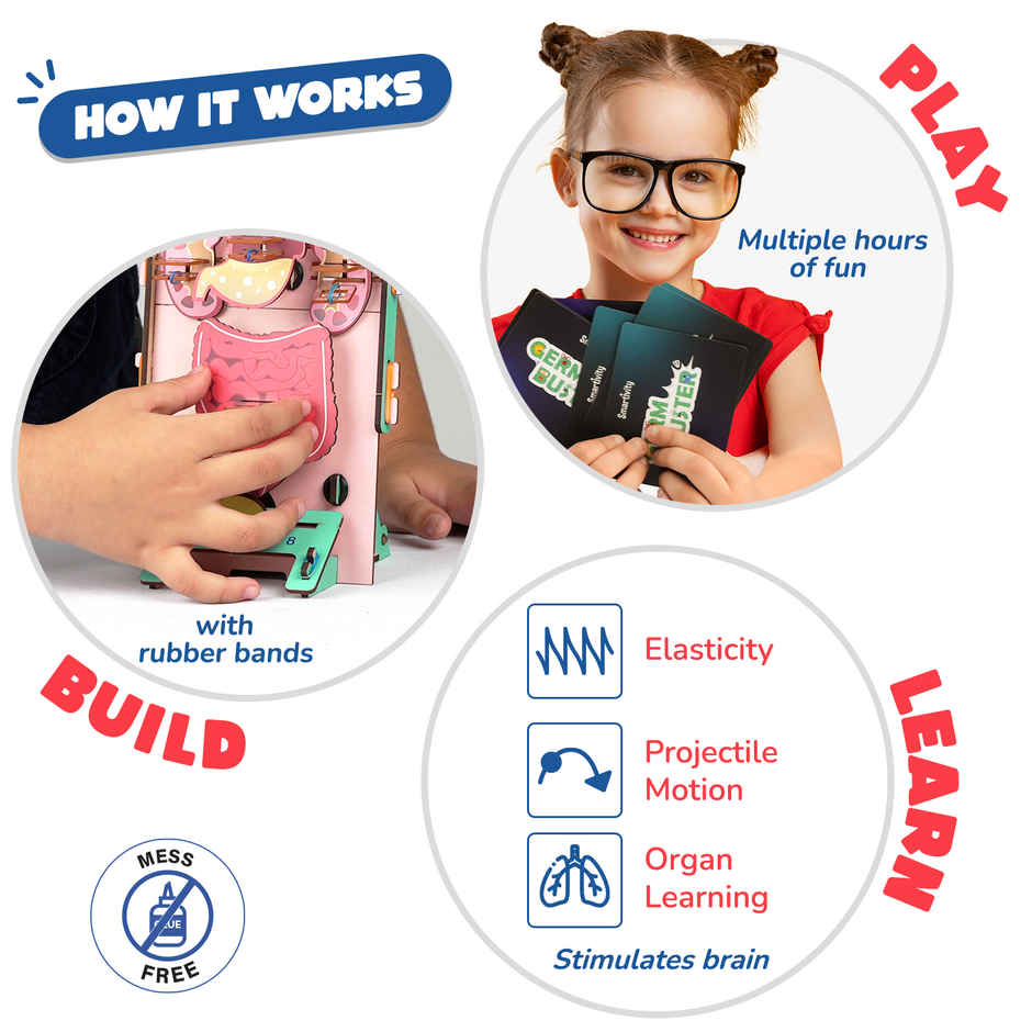 Smartivity DIY Human Body Model with Organ Card Games, Fun & Educational Toy
