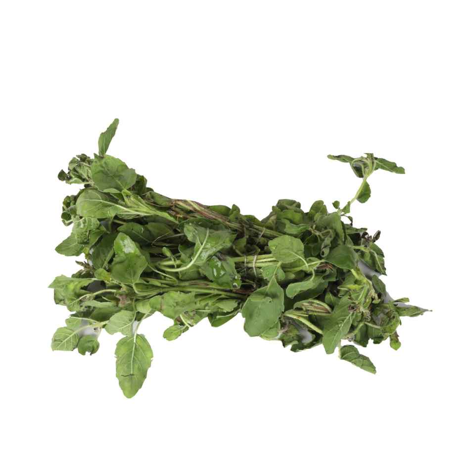 Organic Tulasi