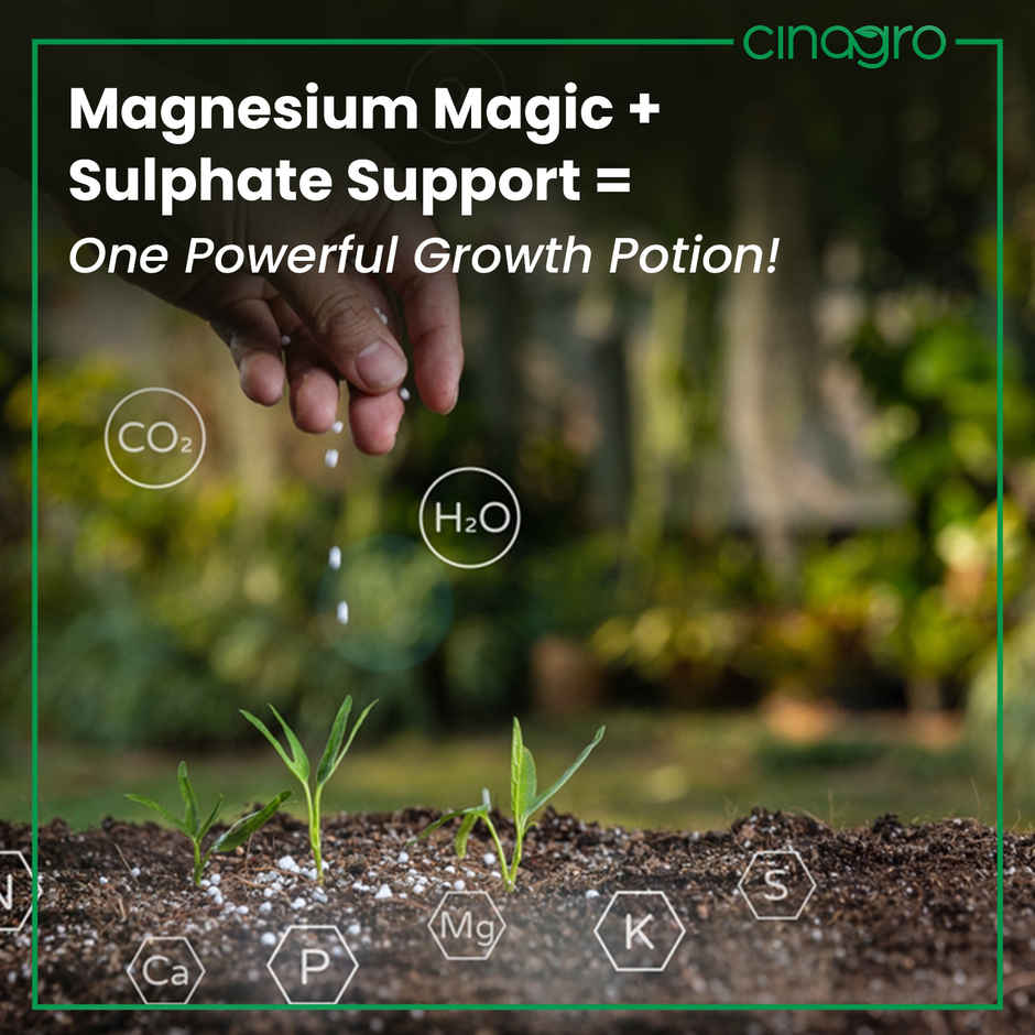 Cinagro Epsom Salt Plant Fertilizer - Magnesium Sulphate, Deters Pests, Speeds Germination