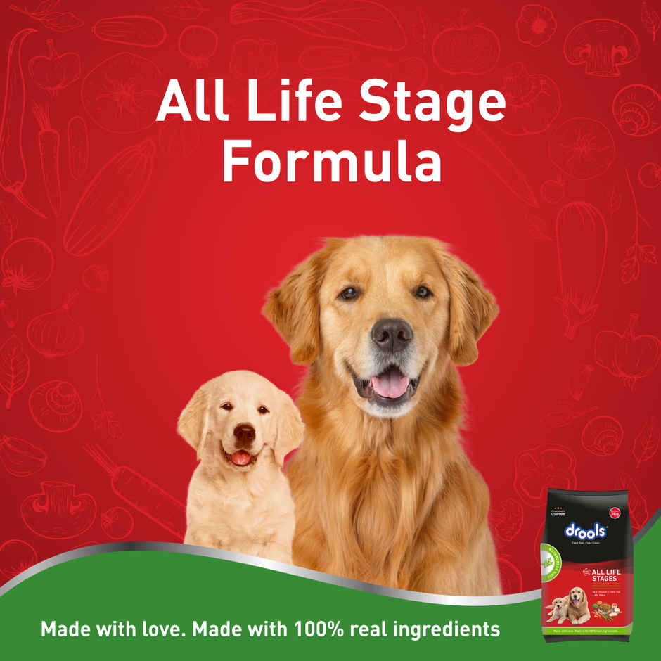 Drools All Breed 100% VEG Dry Dog FOOD