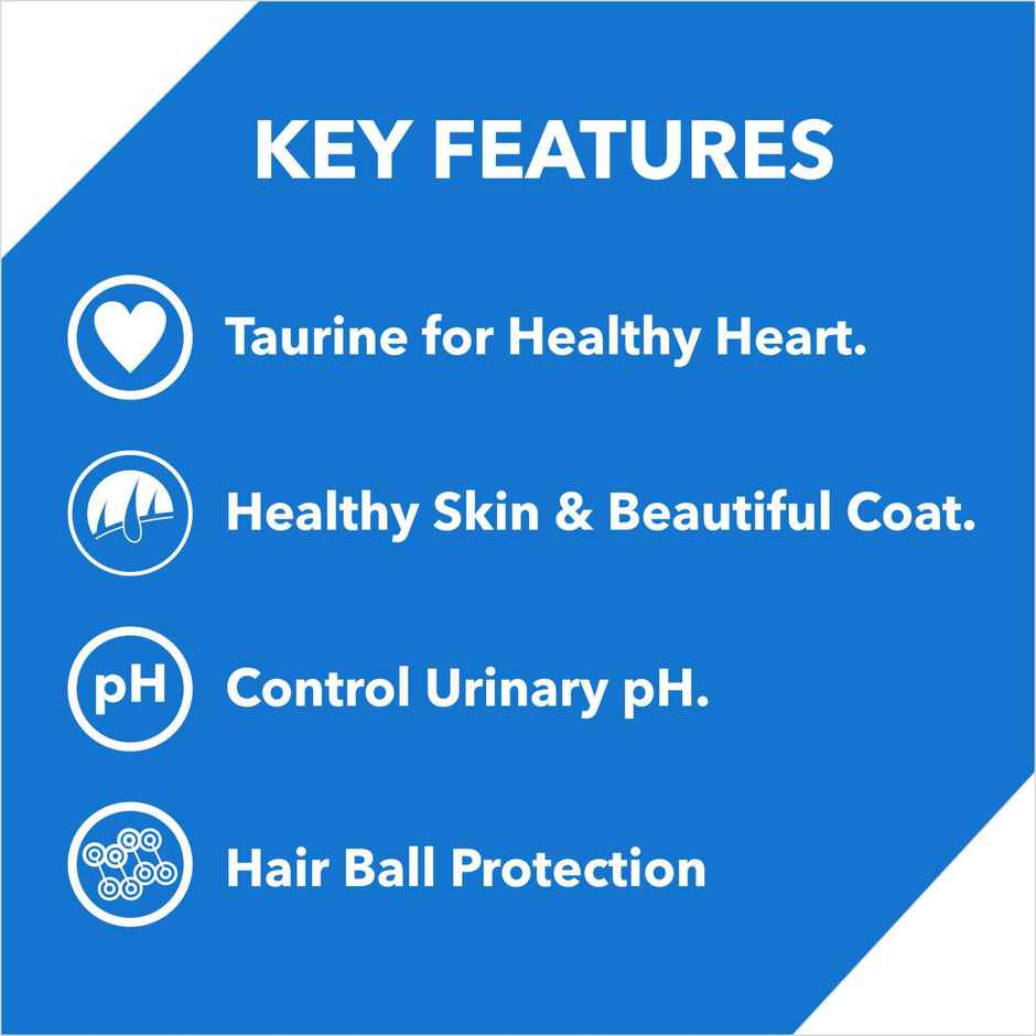 Drools Ocean Fish Adult Dry Cat Food