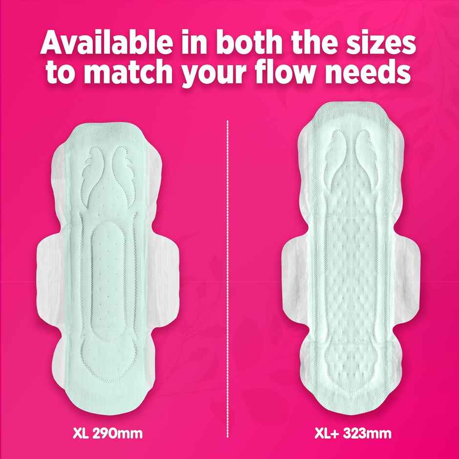 Sofy AntiBacteria XL+ Sanitary Pads |6 Layer Deep Absorption | 323mm Combo    