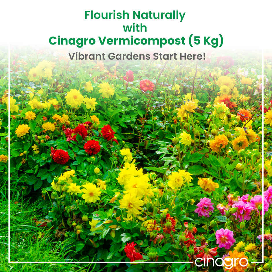 Cinagro Vermicompost Plant Fertilizer, Improves Plant Health, Water Retention & Soil Quality