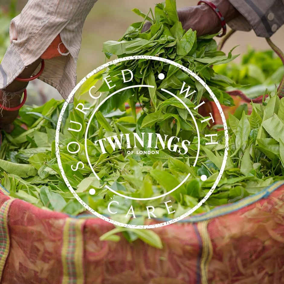 Twinings Green Tea Jasmine | 25 Teabags | Pure Elegance | Smooth & Floral