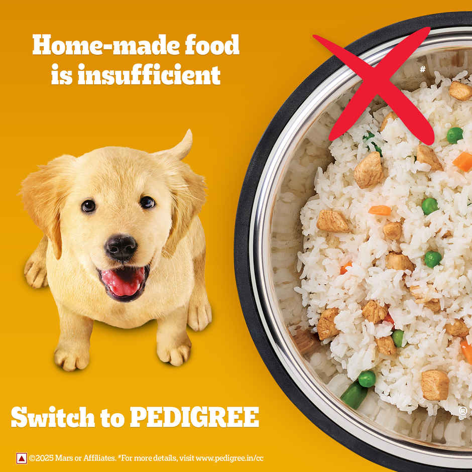 Pedigree Puppy Meat & Milk Dry Dog Food