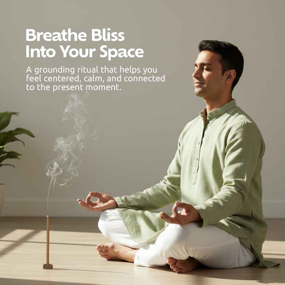 Pranah Cosmic Vibes | Bhoomi | Dhoop Sticks | 25 Sticks