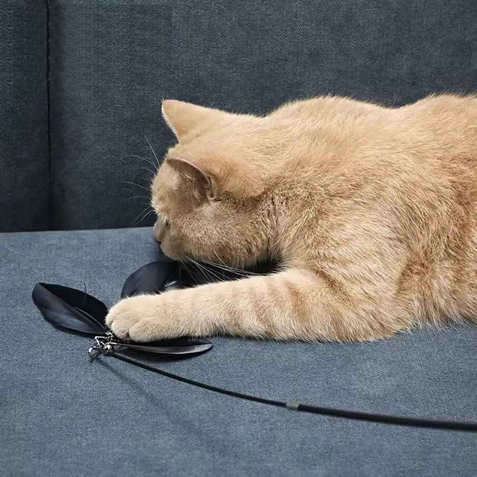 Pets Empire Cat Teasing Stick Wand Interactive Fun Toy For Cats