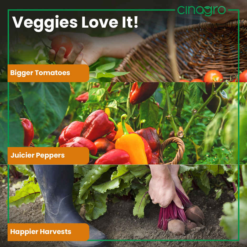 Cinagro Organic Bone Meal Plant Fertilizer - Nutrient-Rich Plant Manure