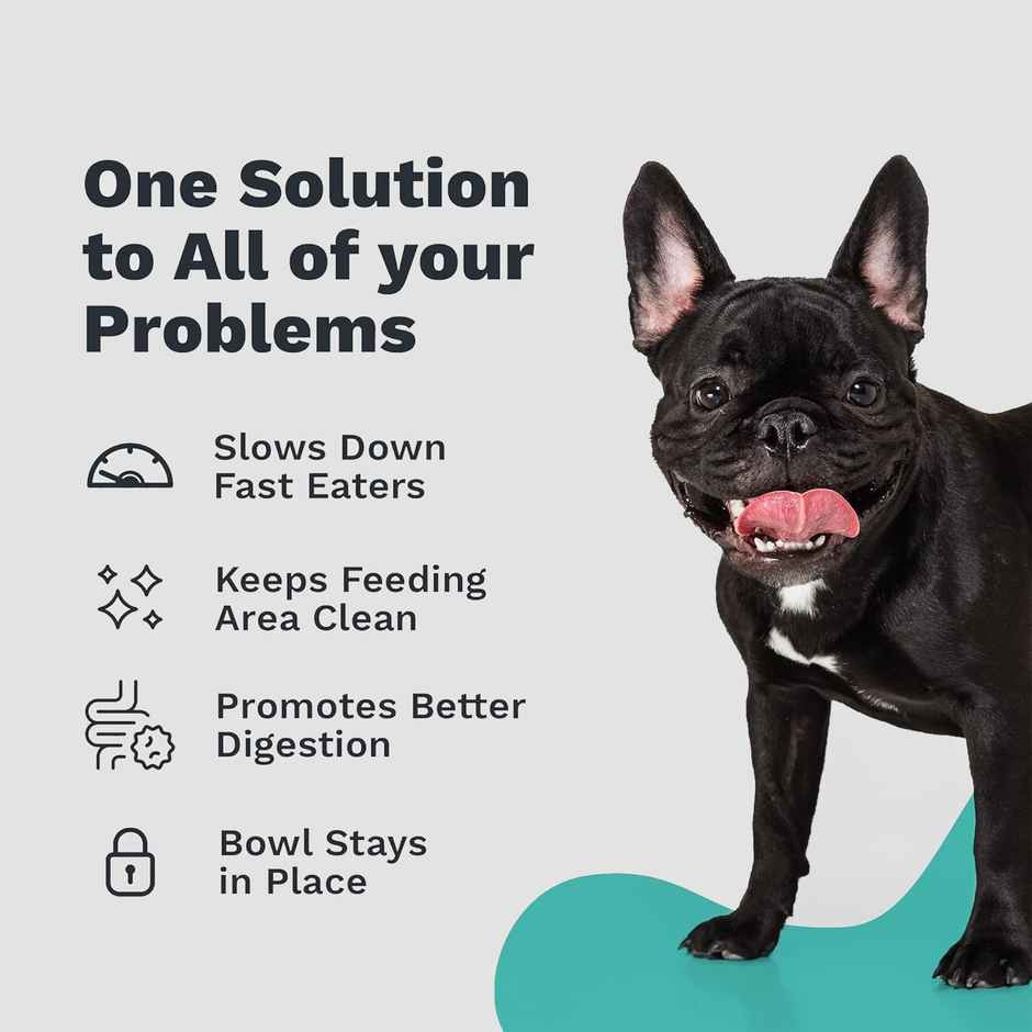 Urbanfix Plain Bowl - Classic Heavy-Duty Food - Water Bowl For Pets | Medium