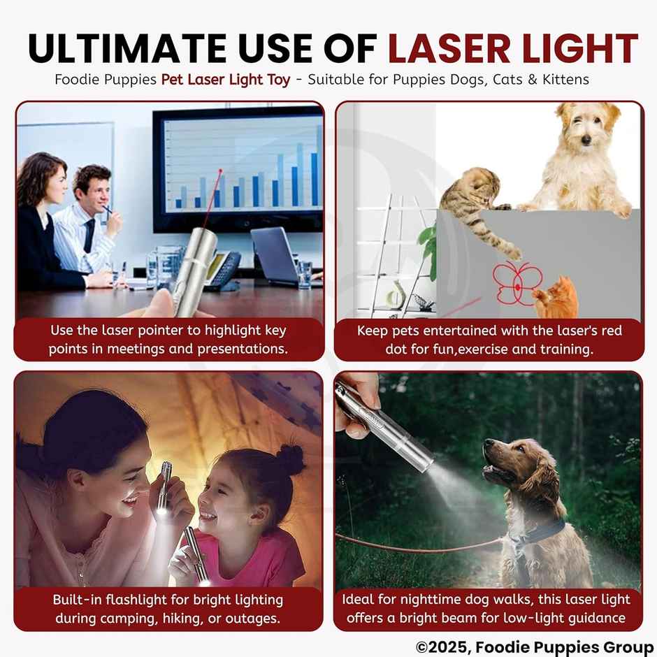 Foodie Puppies 3 in 1 USB Cat Teasing Laser Pointer Silver