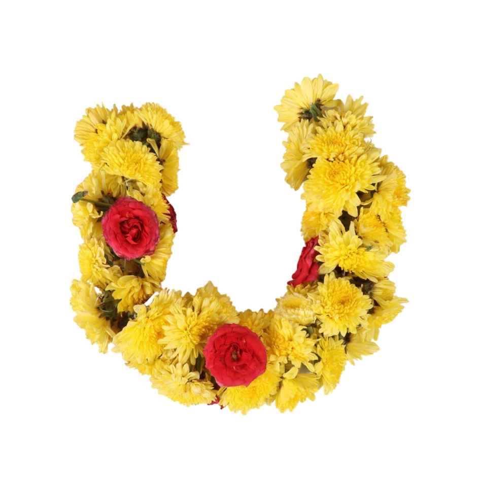 Chrysanthemum Flower String