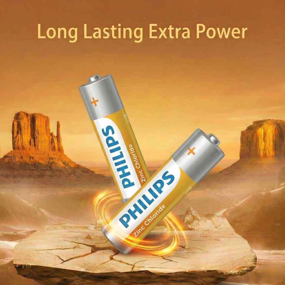 Philips R6G10B/94 AA Zinc Chloride Battery | 1.5V | Long Lasting | Leak Resistant 1.0 Piece