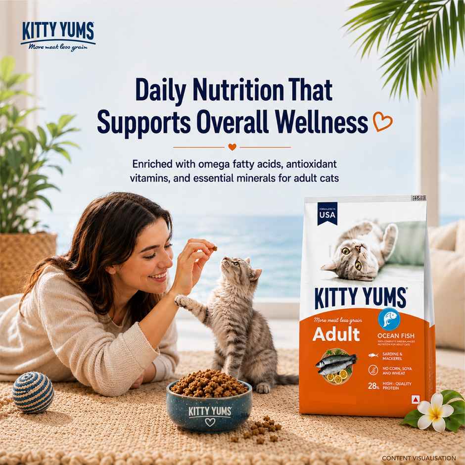 Kitty Yums Adult Cat Dry Food Ocean Fish