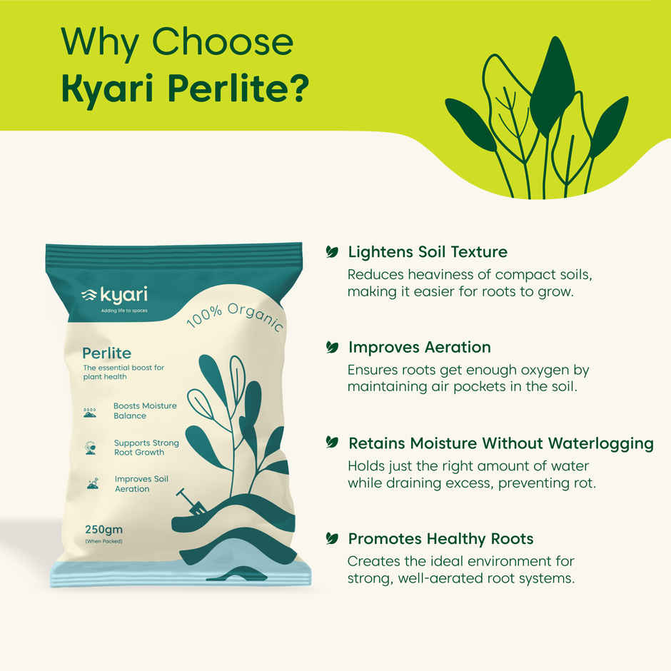 Kyari Perlite Soil Additive for Plants I Improves Aeration & Drainage
