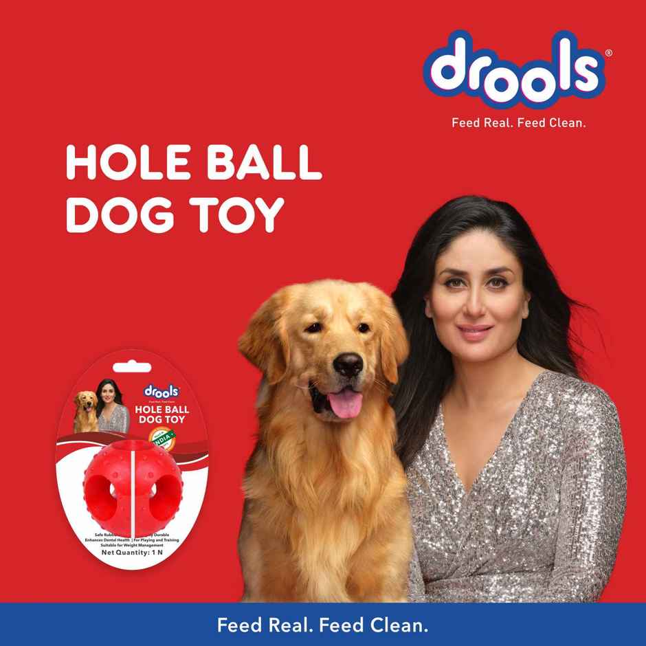 Drools Non-Toxic Rubber Pet Hole Ball Dog Teething Toy - 3 inches