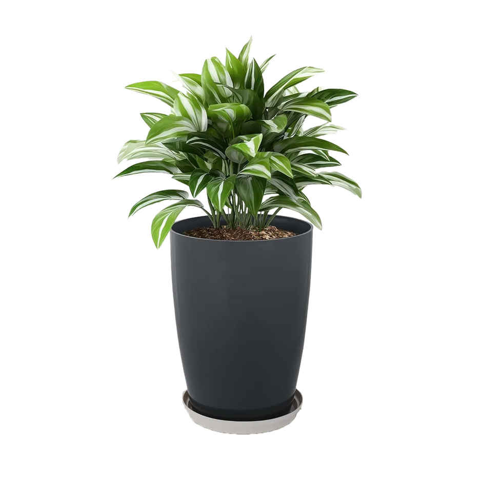 Kuber Industries 14 Inch Plain Tower Flower Pot with Plate for Home & Garden | Grey